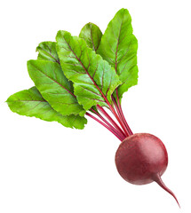 Wall Mural - beetroot isolated on white background, full depth of field