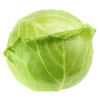 cabbage isolated on white background, full depth of field