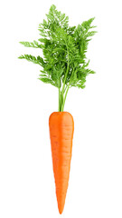 Wall Mural - carrot isolated on white background, full depth of field