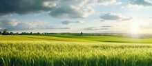 Natural Landscape With Green Grass, Field Of Golden Ripe Wheat AI Generated Image
