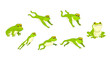 Frog Jumping Animation Sequence Cartoon Vector Illustration