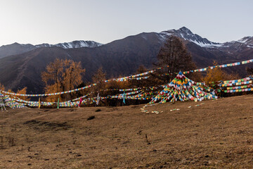 Wall Mural - Prayer flags in Haizi valley near Siguniang mountain in Sichuan province, China