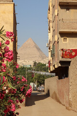 Wall Mural - Giza Pyramid view from a street