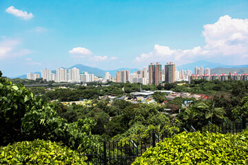 Wall Mural - Hong Kong City view under the blue sky with forest, looking from the mountain. Travel and city scene.