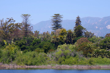 Wall Mural - Lake Carneros Landscape and Santa Ynez Mountains near Santa Barbara in California