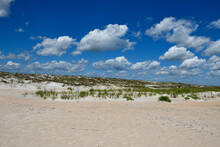 Ocean Beach With Sand Dunes And Sea Oats In The Background At St. Augustine, Florida.