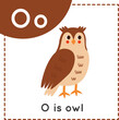 Learning English alphabet for kids. Letter O. Cute cartoon owl.