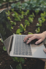 Asian woman farmer using digital tablet in vegetable garden at greenhouse, Business agriculture technology concept, quality smart farmer.