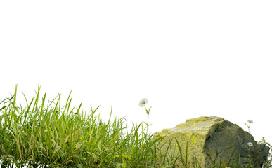 Aufkleber - Isolated small grass field on white background with clippings path, 3d illustrations rendering