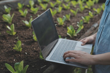 Asian woman farmer using digital tablet in vegetable garden at greenhouse, Business agriculture technology concept, quality smart farmer.