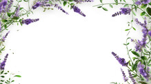 Frame Of Lavender Branches Isolated On White Background For Greeting Card Design