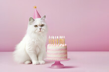 Fluffy White Cat Celebrating With A Birthday Cake