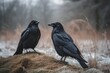 A Winter Wonderland: Wild Nature on a Cold Day with Two Ravens Perched by a Green Grass Field. Generative AI