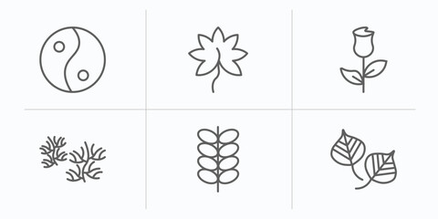 Poster - nature outline icons set. thin line icons such as asian, liquidambar leaf, roses, escuamiforme, briar leaf, poplar leaf vector.