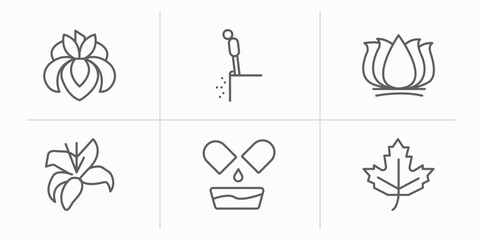 Poster - nature outline icons set. thin line icons such as iris, cliff, lotus flower, lily, natural medical pills, maple vector.