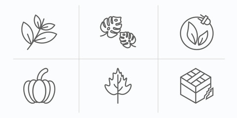 Sticker - nature outline icons set. thin line icons such as black willow, leaf monstera, natural energy, farming, hawthorn leaf, damaged vector.