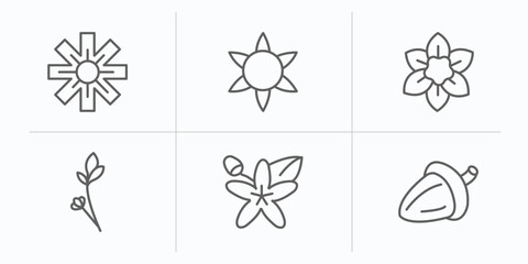 Poster - nature outline icons set. thin line icons such as wedelia, gerbera, narcissus, lavender, neroli, oak vector.