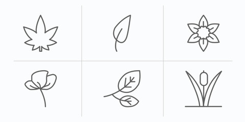 Poster - nature outline icons set. thin line icons such as hemp, acicular, daffodil, peony, branch, reed vector.