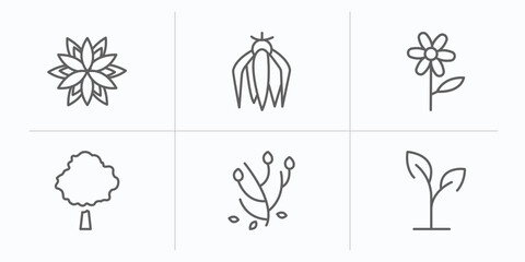 Poster - nature outline icons set. thin line icons such as dahlia, ylang-ylang, oleander, beech, anemone, plant growing on book vector.