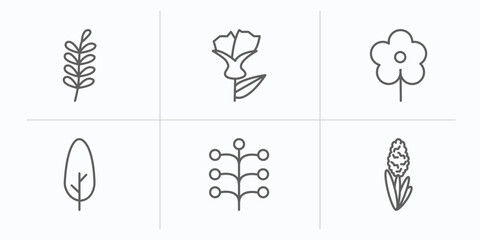 Poster - nature outline icons set. thin line icons such as pinnate, larch, daisy, cypress, mimosa, hyacinth vector.