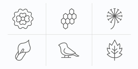 Poster - nature outline icons set. thin line icons such as dianthus, hive, dandelion, calla, bird, hawthorn vector.