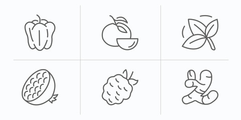 Poster - fruits and vegetables outline icons set. thin line icons such as bell pepper, tangerine, basil, pomegranate, blackberry, ginger vector.
