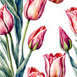 Watercolor tulips seamless flower pattern illustration generated Ai