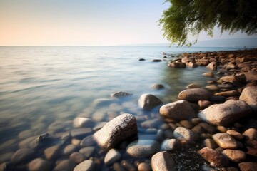 Poster - tranquil beach with a lone tree standing on the rocks in the foreground Generative AI
