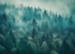 misty morning in the forest, Panoramic view of misty forest. Foggy forest in a gloomy landscape