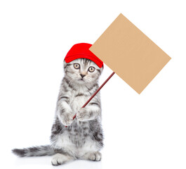 Poster - Funny cat worker wearing blue cap shows empty placard.  Isolated on white background