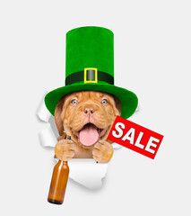 Poster - Saint Patrick's Day concept. Happy mastiff puppy wearing green hat of the leprechaun looks through the hole in white paper, holds bottle of beer and shows signboard with labeled 