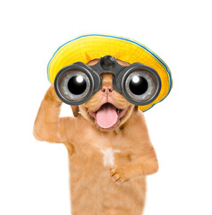 Aufkleber - Happy mastiff puppy wearing summer hat looks through binoculars. Isolated on white background