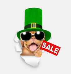 Poster - Saint Patrick's Day concept. Happy mastiff puppy wearing sunglasses and green leprechauns top hat shows signboard with labeled 