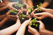 © Ruan J/peopleimages.com - Hands together, plant soil and nature growth with sustainability and community work. People, green leaf and environment project for gardening, farming and sustainable eco dirt for agriculture