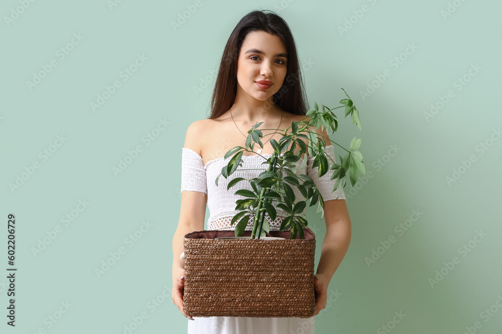 Young woman with houseplant on green background