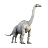 Fototapeta Dinusie - Dinosaur - Diplodocus on transparent background, Generative ai