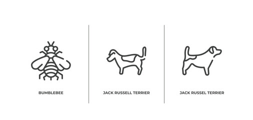 Poster - dog breeds heads outline icons set. thin line icons sheet included bumblebee, jack russell terrier, jack russel terrier vector.