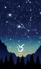 Wall Mural - taurus zodiac sign, constellation in the night sky, landscape vertical postcard for stories. templat