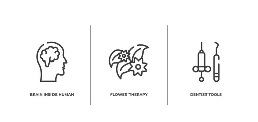 Poster - medical and dental outline icons set. thin line icons sheet included brain inside human head, flower therapy, dentist tools vector.