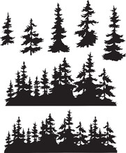 Silhouette Forest And Trees