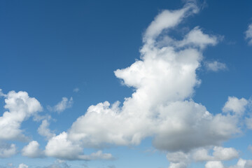 Wall Mural - Daytime cloudscape of a white cloud in a blue sky shaped by the wind.