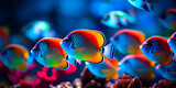 Tropical sea underwater fishes on coral reef. Aquarium oceanarium wildlife colorful marine panorama landscape nature snorkeling diving