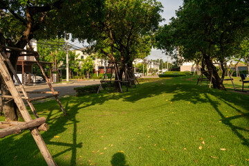 Wall Mural - trees in the park