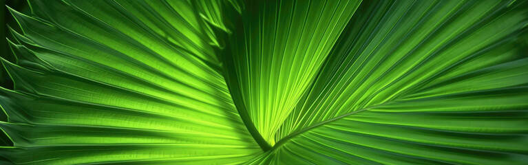 Abstract green leaf texture, nature background, tropical leaf photorealistic cinematic lighting, Generative AI