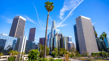 Wall Mural - the skyline of los angeles under a blue sky