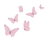 Fototapeta  - butterflies and flowers