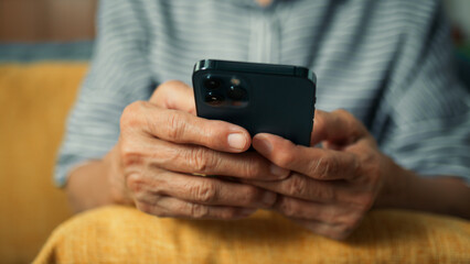 Wall Mural - Beautiful elderly woman smile using mobile phone enjoy playing social media checking email. Happy attractive grandma hand holding smartphone scrolling looking at screen sit on sofa in living room