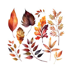 Wall Mural - Beautiful autumn leaves watercolor set, great design for any purposes. botanical background.