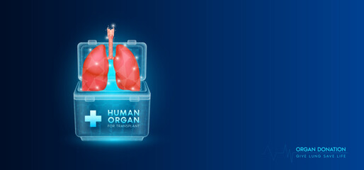 Wall Mural - Donor organ. Human lung in cooler box translucent low poly triangles with copy space for text. Donation for organ transplantation. Medical innovation diagnosis treatment concept. Banner vector.