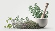 AI-generated illustration of medicinal herbs - alfalfa, powdered. MidJourney.